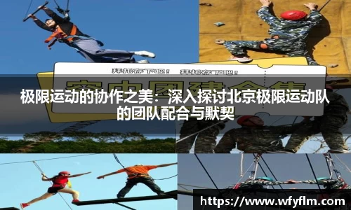 星空体育网站入口