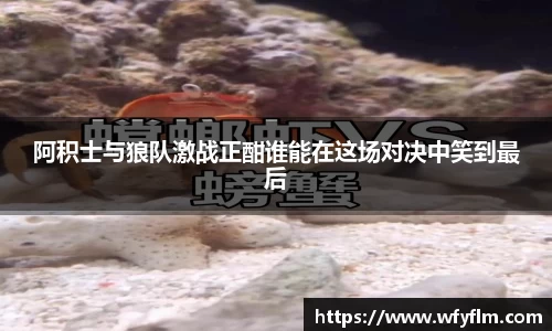 星空官网