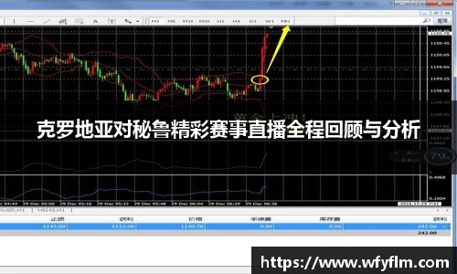 克罗地亚对秘鲁精彩赛事直播全程回顾与分析